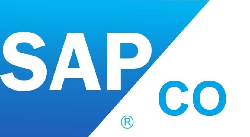 SAP CO (Controlling) Training Program